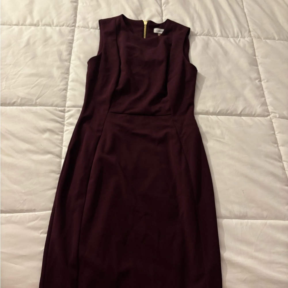 Calvin Klein Sleeveless Burgundy Dress